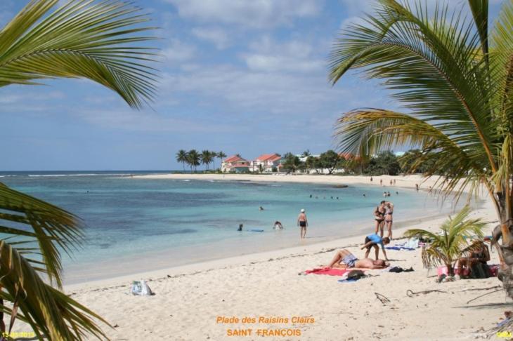 Studio Grand Confort Vue Mer Plage à 100m Appartement